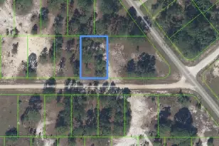 328 Tahiti Ave, Lake Placid, FL 33852 - Photo 10