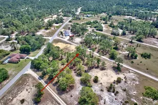 328 Tahiti Ave, Lake Placid, FL 33852 - Photo 2