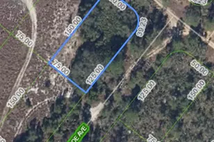 1214 Sandlewood St, Lake Placid, FL 33852 - Photo 6