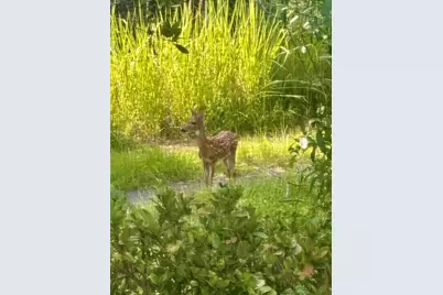 2301 Avellino Avenue, Saint Cloud, FL 34771 - Photo 28