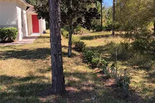 2301 Avellino Ave, Saint Cloud, FL 34771 - Photo 2