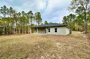 2358 W Elmore Loop, Citrus Springs, FL 34434 - Photo 8