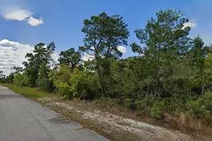 215 & 217 Treasurer Ave NE, Lake Placid, FL 33852 - Photo 2