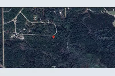 121 Corbina Way W, Florahome, FL 32140 - Photo 4