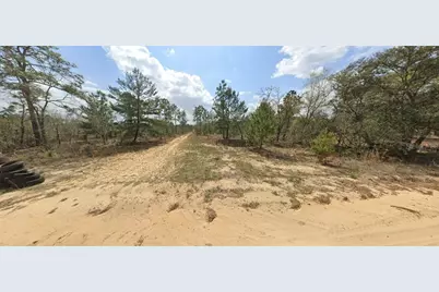 228 Rome Ave, Interlachen, FL 32148 - Photo 2