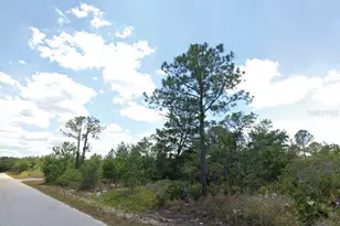 908 Imperial Oak St, Lake Placid, FL 33852 - Photo 1