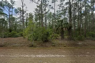 1315 Maple Ave N, Lehigh Acres, FL 33972 - Photo 1