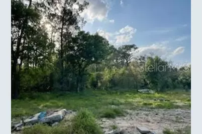 10725 Demille Road, Polk City, FL 33868 - Photo 4