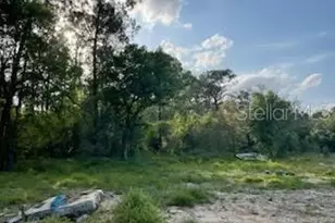 10725 Demille Rd, Polk City, FL 33868 - Photo 4