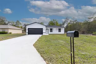 54 Malauka Trk, Ocklawaha, FL 32179 - Photo 2