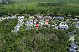 802 Runner Oak St, Celebration, FL 34747 - Photo 44