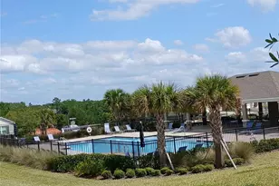 1817 Juneberry St, Clermont, FL 34715 - Photo 32