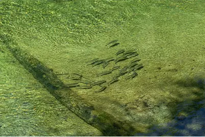 515 Columbus Avenue, Orange City, FL 32763 - Photo 28