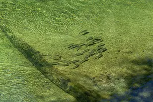 515 Columbus Ave, Orange City, FL 32763 - Photo 28