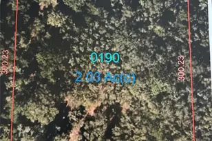 0000 NE 440 Ave, Old Town, FL 32680 - Photo 1