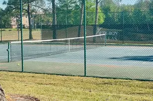 13905 Fairway Island Dr, Orlando, FL 32837 - Photo 24