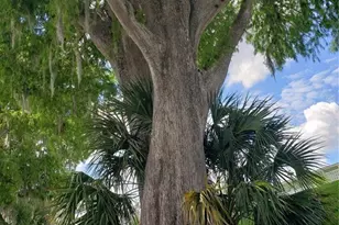 1140 S Orlando Ave, Maitland, FL 32751 - Photo 52