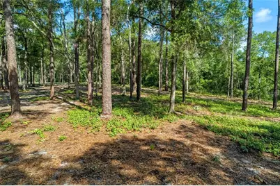 29901 State Road 44, Eustis, FL 32736 - Photo 1