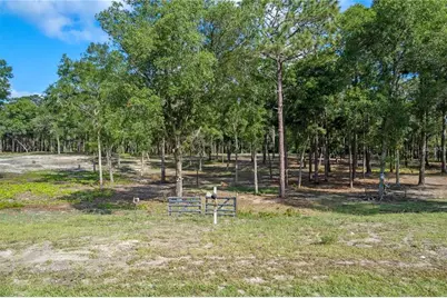 29901 State Road 44, Eustis, FL 32736 - Photo 16