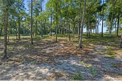 29901 State Road 44, Eustis, FL 32736 - Photo 18