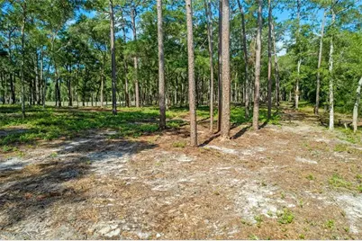 29901 State Road 44, Eustis, FL 32736 - Photo 4