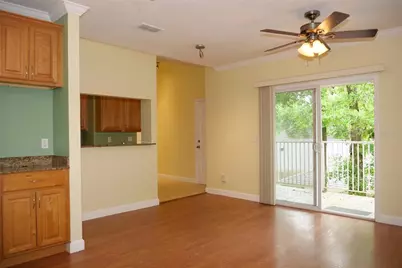 415 N Fern Creek Avenue, Orlando, FL 32803 - Photo 6