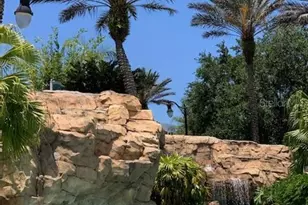 1322 Seven Eagles Ct, Reunion, FL 34747 - Photo 46