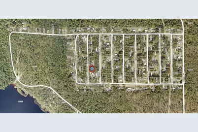 Michigan Road, Altoona, FL 32702 - Photo 2