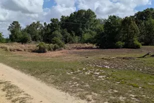 3465 W Ansonia Rd, Avon Park, FL 33825 - Photo 4