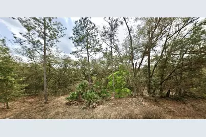 109 Dottie Street, Interlachen, FL 32148 - Photo 1