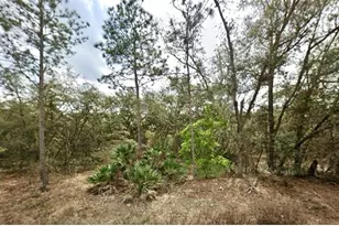 109 Dottie St, Interlachen, FL 32148 - Photo 1