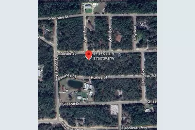 109 Dottie Street, Interlachen, FL 32148 - Photo 4