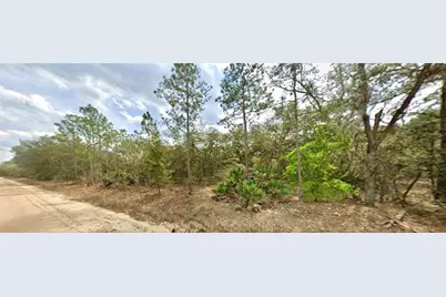 109 Dottie Street, Interlachen, FL 32148 - Photo 2