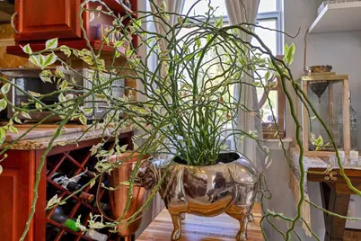 6816 Greengrove Boulevard, Clermont, FL 34714 - Photo 32