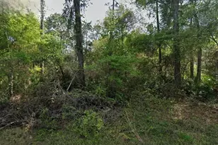 Not Assigned, Crescent City, FL 32112 - Photo 1