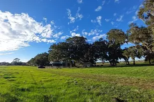 3650 Lake Tohopekaliga Rd, Saint Cloud, FL 34772 - Photo 14