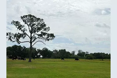 3650 Lake Tohopekaliga Road, Saint Cloud, FL 34772 - Photo 48