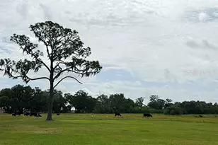 3650 Lake Tohopekaliga Rd, Saint Cloud, FL 34772 - Photo 48