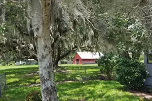 3650 Lake Tohopekaliga Rd, Saint Cloud, FL 34772 - Photo 32