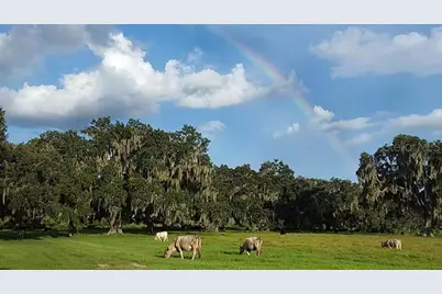 3650 Lake Tohopekaliga Road, Saint Cloud, FL 34772 - Photo 20