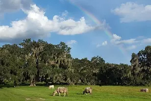 3650 Lake Tohopekaliga Rd, Saint Cloud, FL 34772 - Photo 20