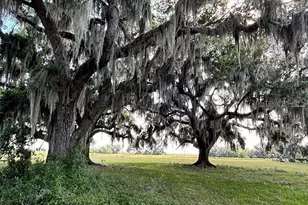 3650 Lake Tohopekaliga Rd, Saint Cloud, FL 34772 - Photo 36