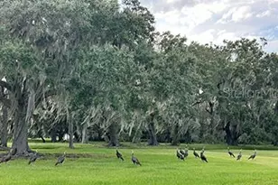 3650 Lake Tohopekaliga Rd, Saint Cloud, FL 34772 - Photo 30