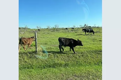 3650 Lake Tohopekaliga Road, Saint Cloud, FL 34772 - Photo 50