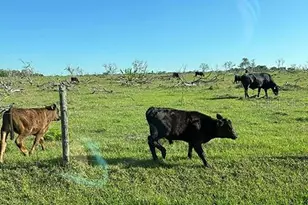 3650 Lake Tohopekaliga Rd, Saint Cloud, FL 34772 - Photo 50