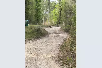 0000 NE 125th Street, Bronson, FL 32621 - Photo 4