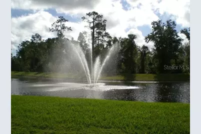 13426 Chariho Lane, Windermere, FL 34786 - Photo 12