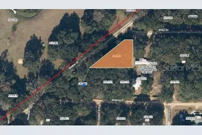 Riley Street, Interlachen, FL 32148 - Photo 2