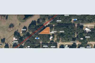Riley Street, Interlachen, FL 32148 - Photo 1