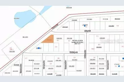 Riley Street, Interlachen, FL 32148 - Photo 4